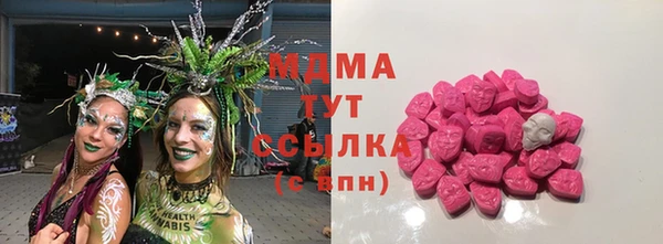 PSILOCYBIN Алзамай
