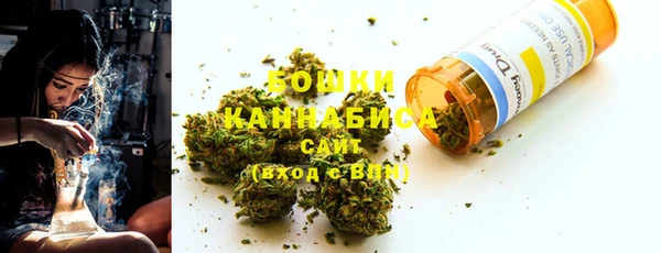 PSILOCYBIN Алзамай