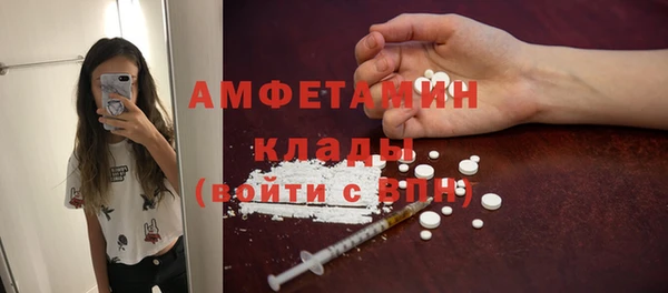 PSILOCYBIN Алзамай