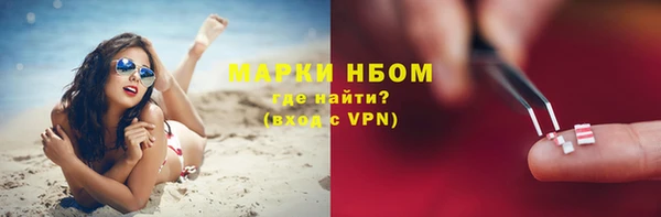 PSILOCYBIN Алзамай