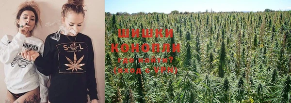 PSILOCYBIN Алзамай