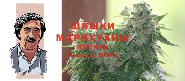 PSILOCYBIN Алзамай