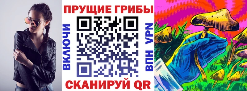 Галлюциногенные грибы прущие грибы  Беломорск 